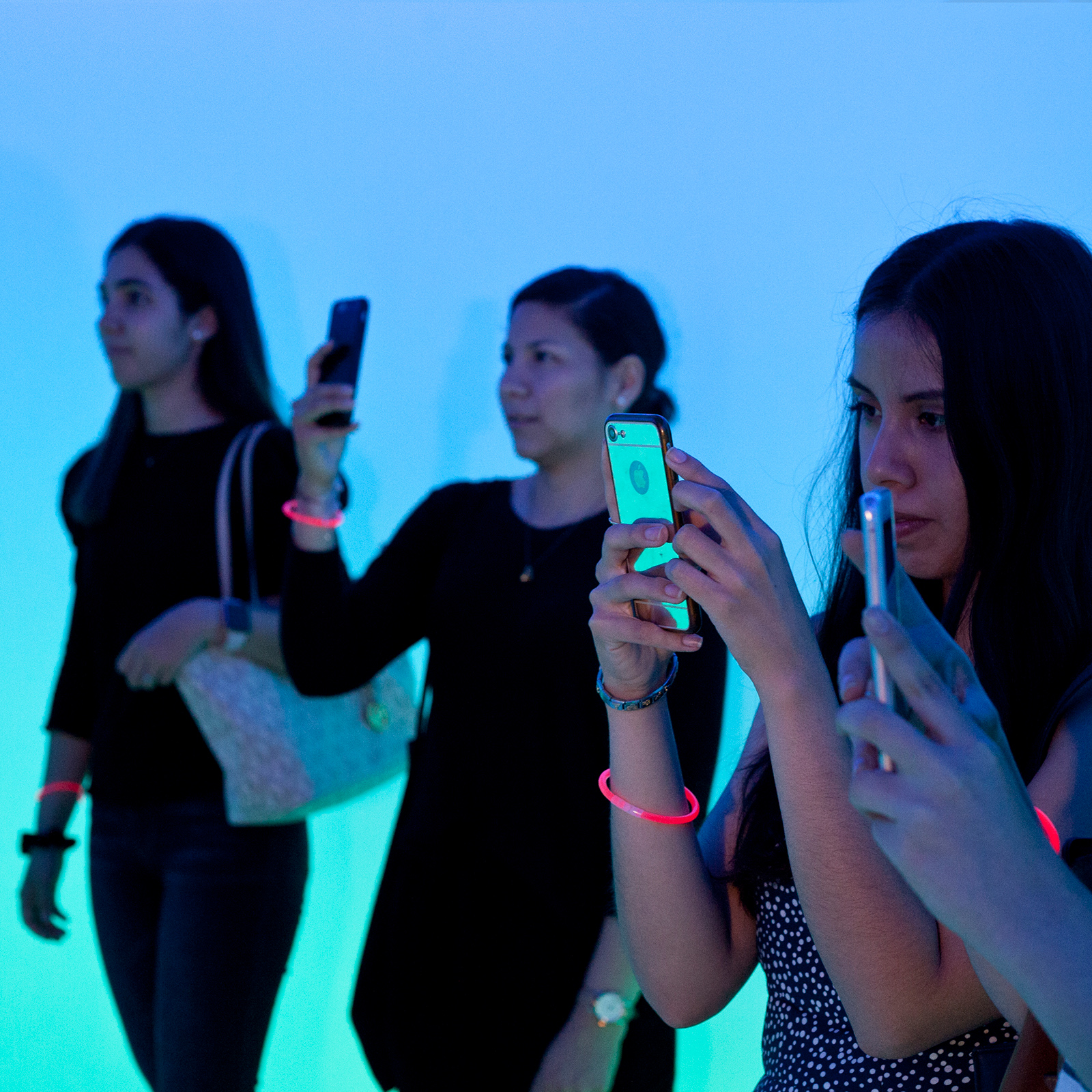 Safaris de creatividad